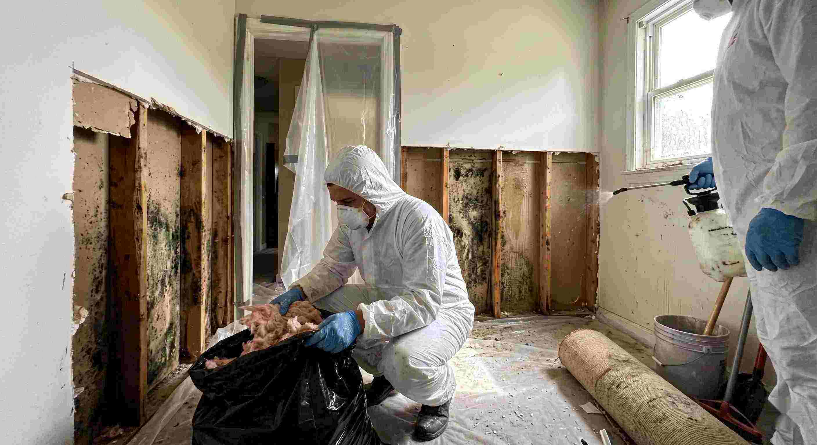 Top-rated mold remediation services removing mold behind wall in home in Prescott Valley