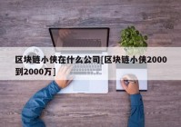 区块链小侠在什么公司[区块链小侠2000到2000万]