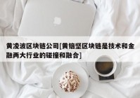 黄凌波区块链公司[黄锫坚区块链是技术和金融两大行业的碰撞和融合]